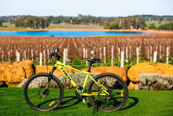Cycling Margaret River Wineries
