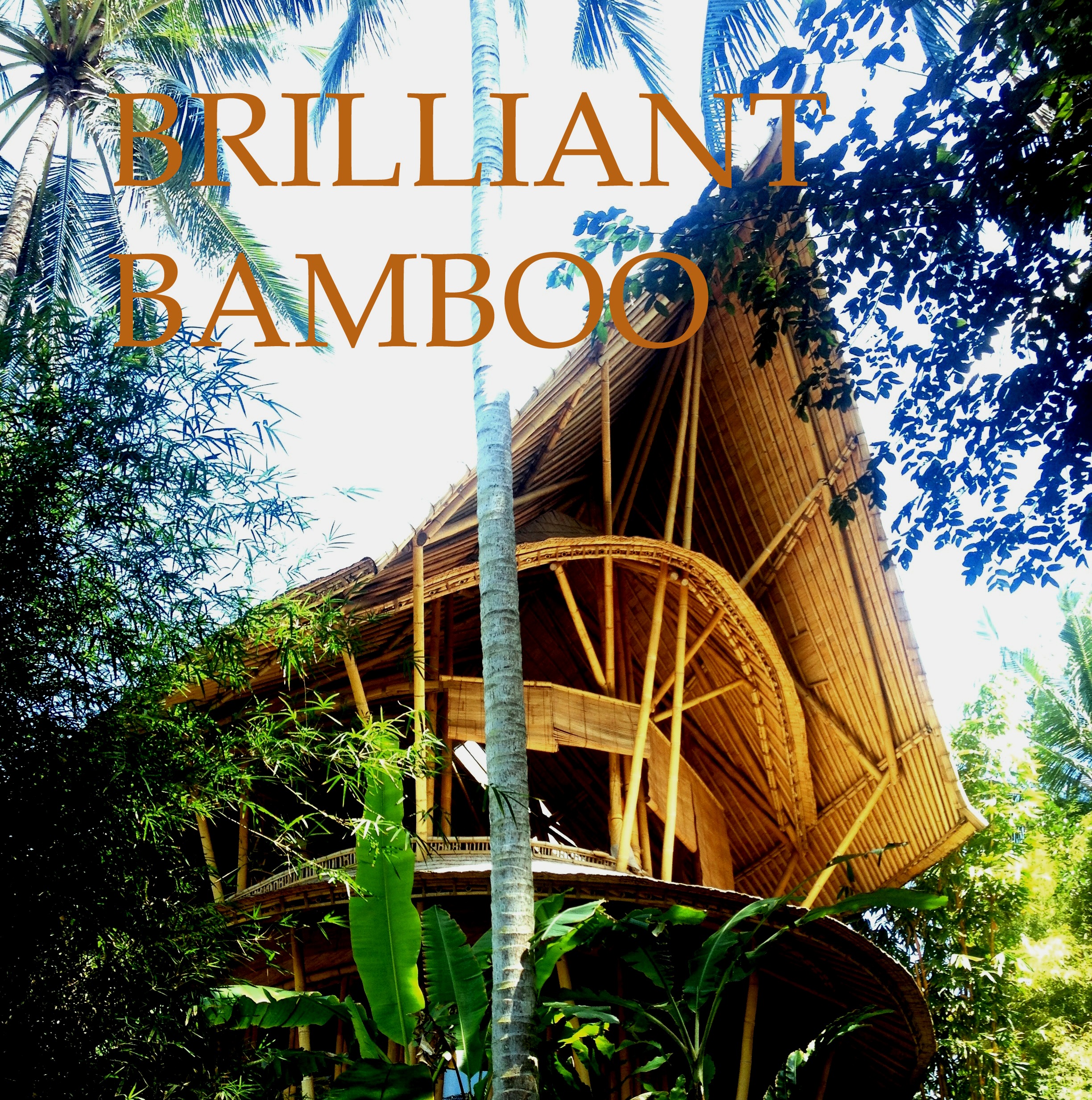Brilliant bamboo village Bali