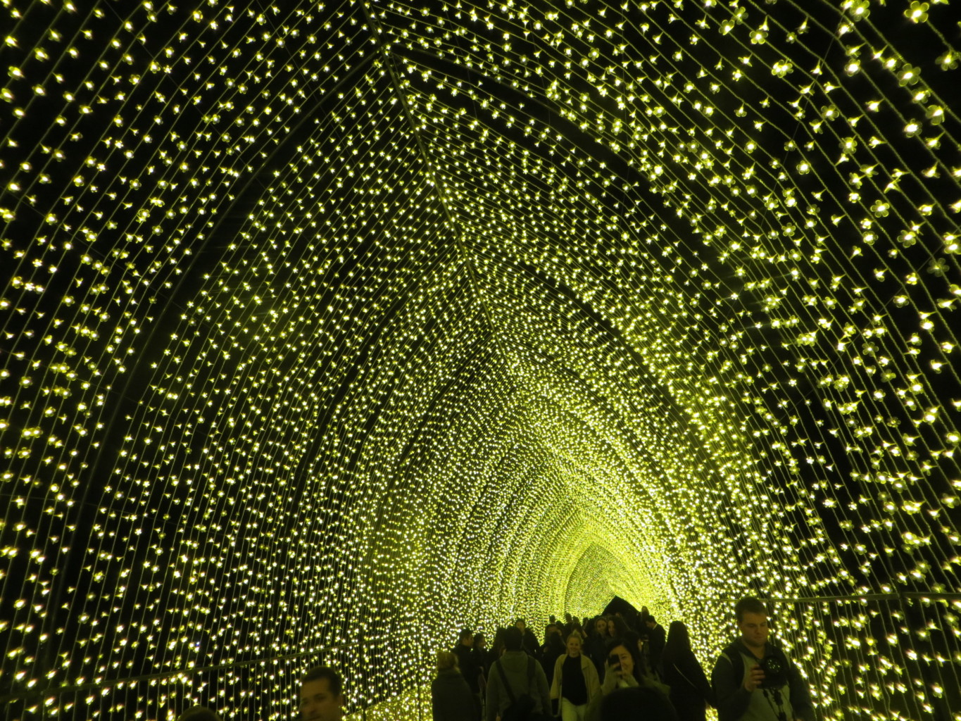 Tunnel of Lights Vivid Sydney