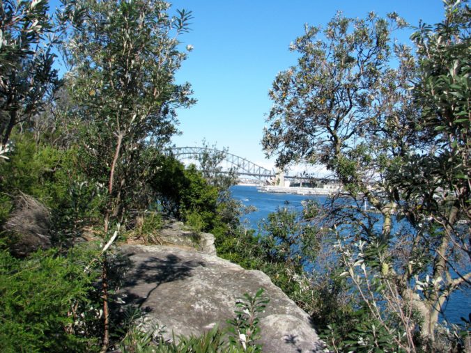 Balls Head Reserve 9