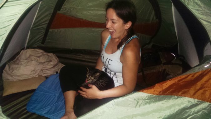Cat in tent
