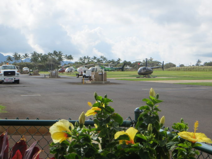 Blue Hawaiian helicopters