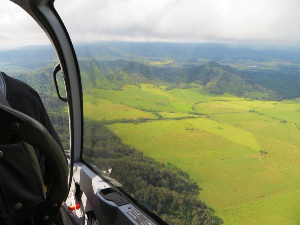 Kauai Helicopter Door