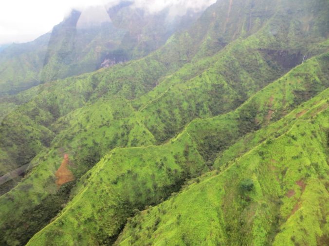 Kauai Green Hills