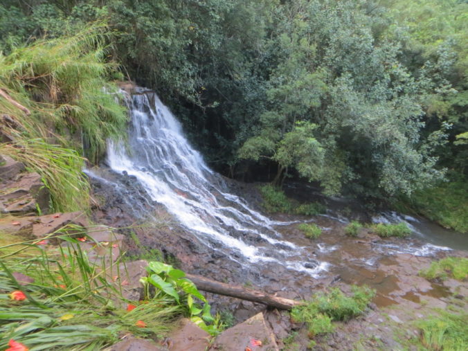 Waterfall Hike Kauai