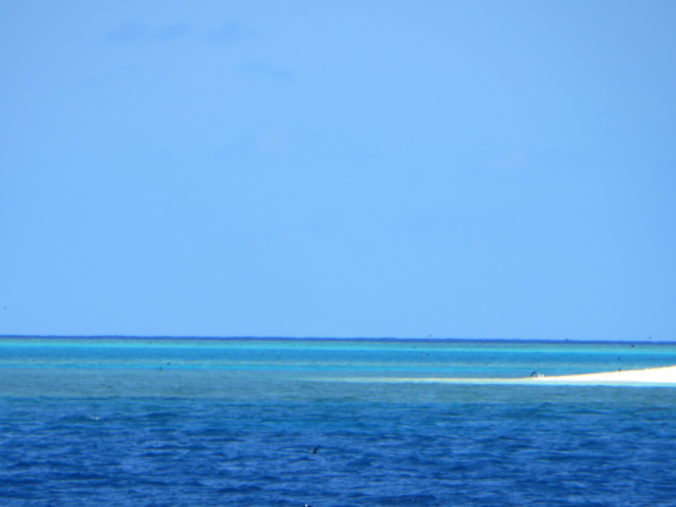 Amazing blue water Lady Musgrave Island Reef