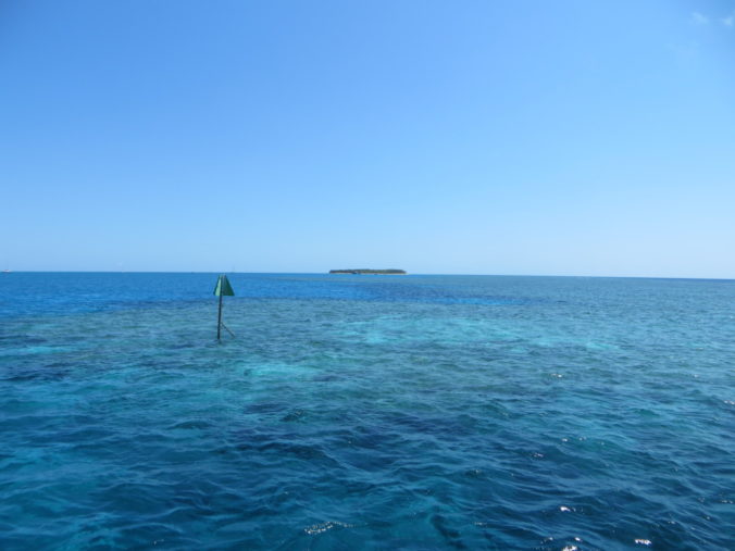 Lady Musgrave Island Reef