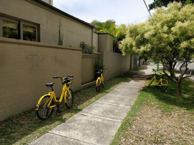 Ofo bikes collecting outside our house