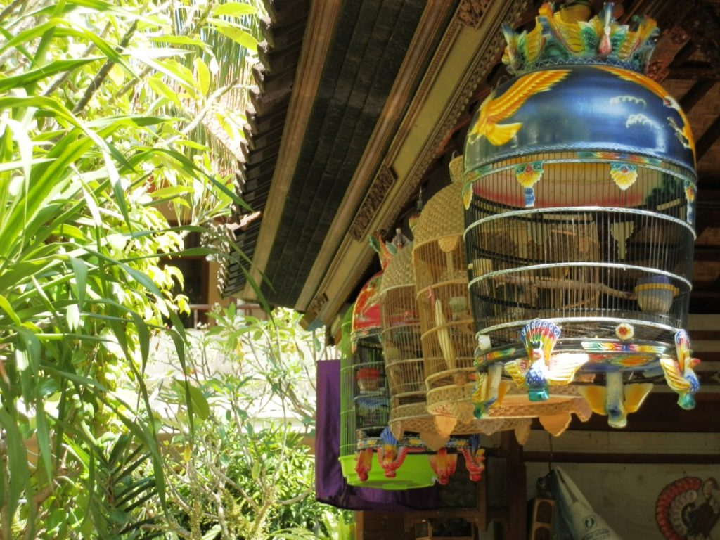 Birdcages, Sanur, Bali