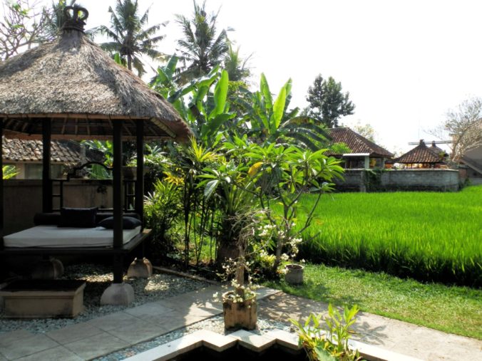Spa Bali Paddy